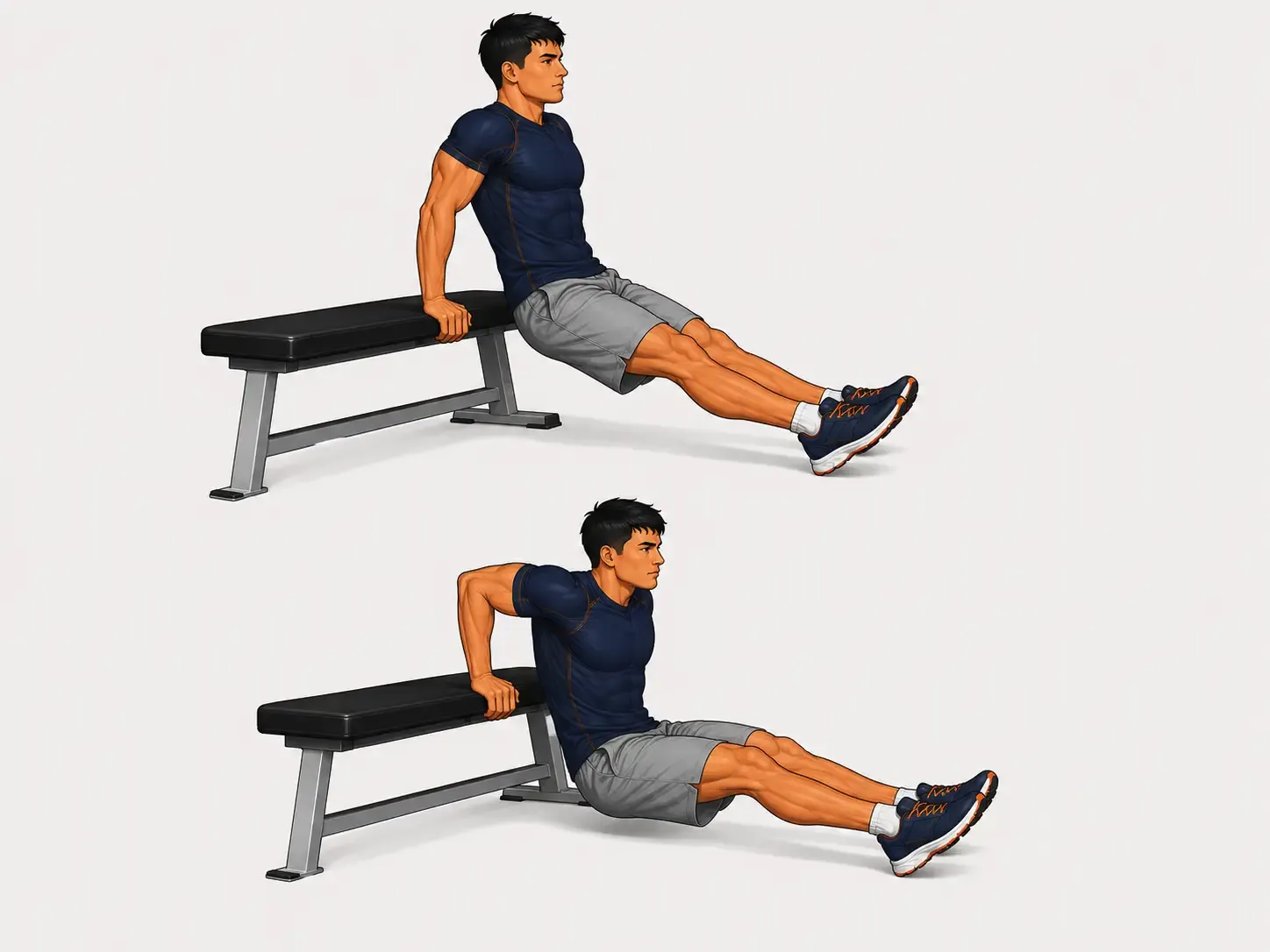 Bench Dips