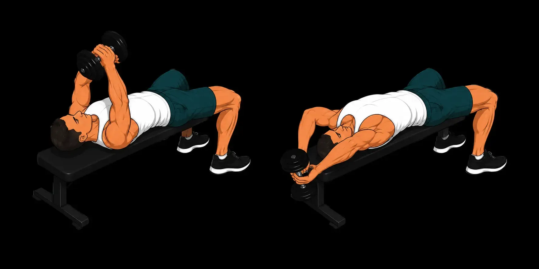 Dumbbell Pullover