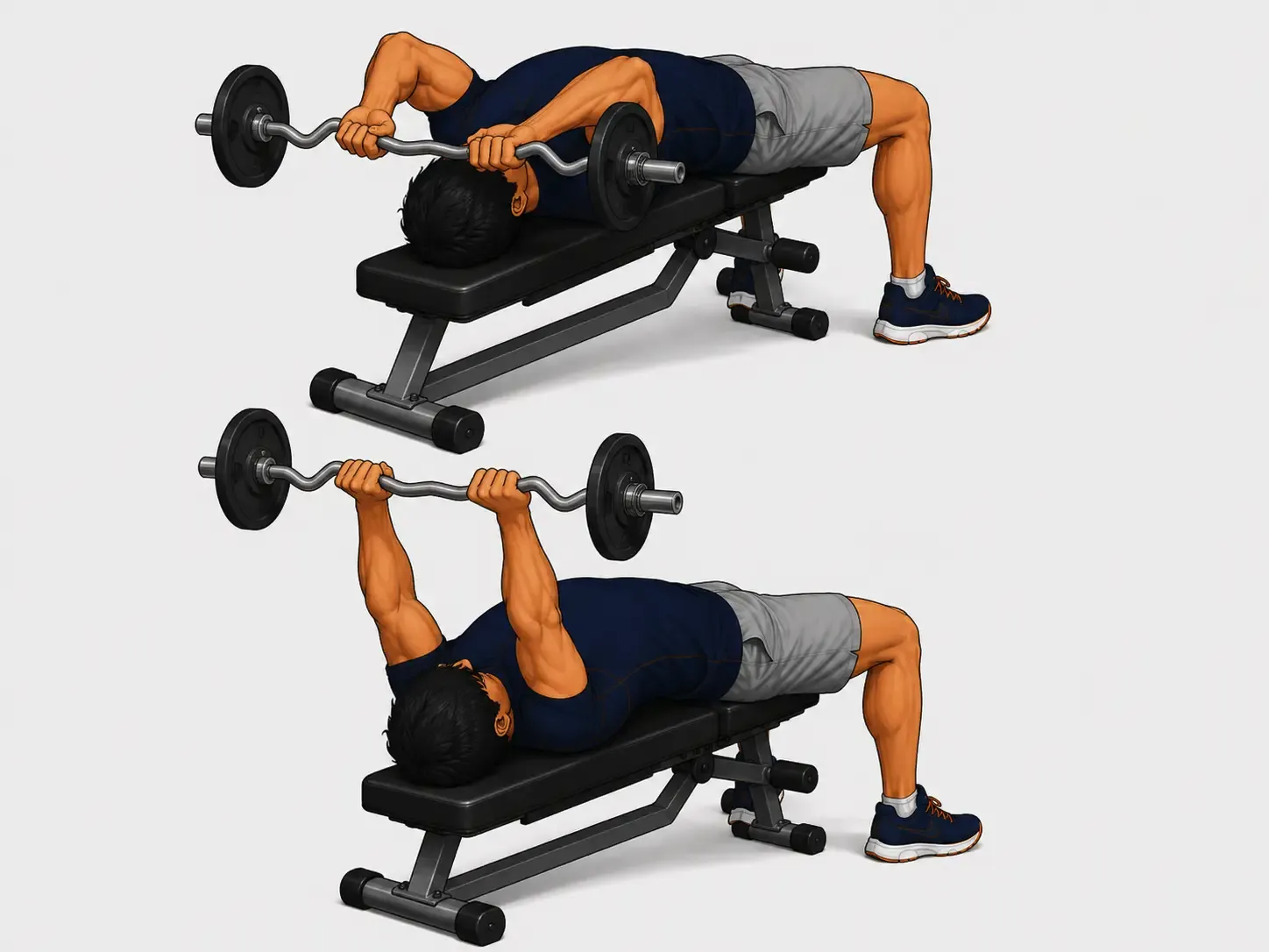 Dumbbell Skull Crushers