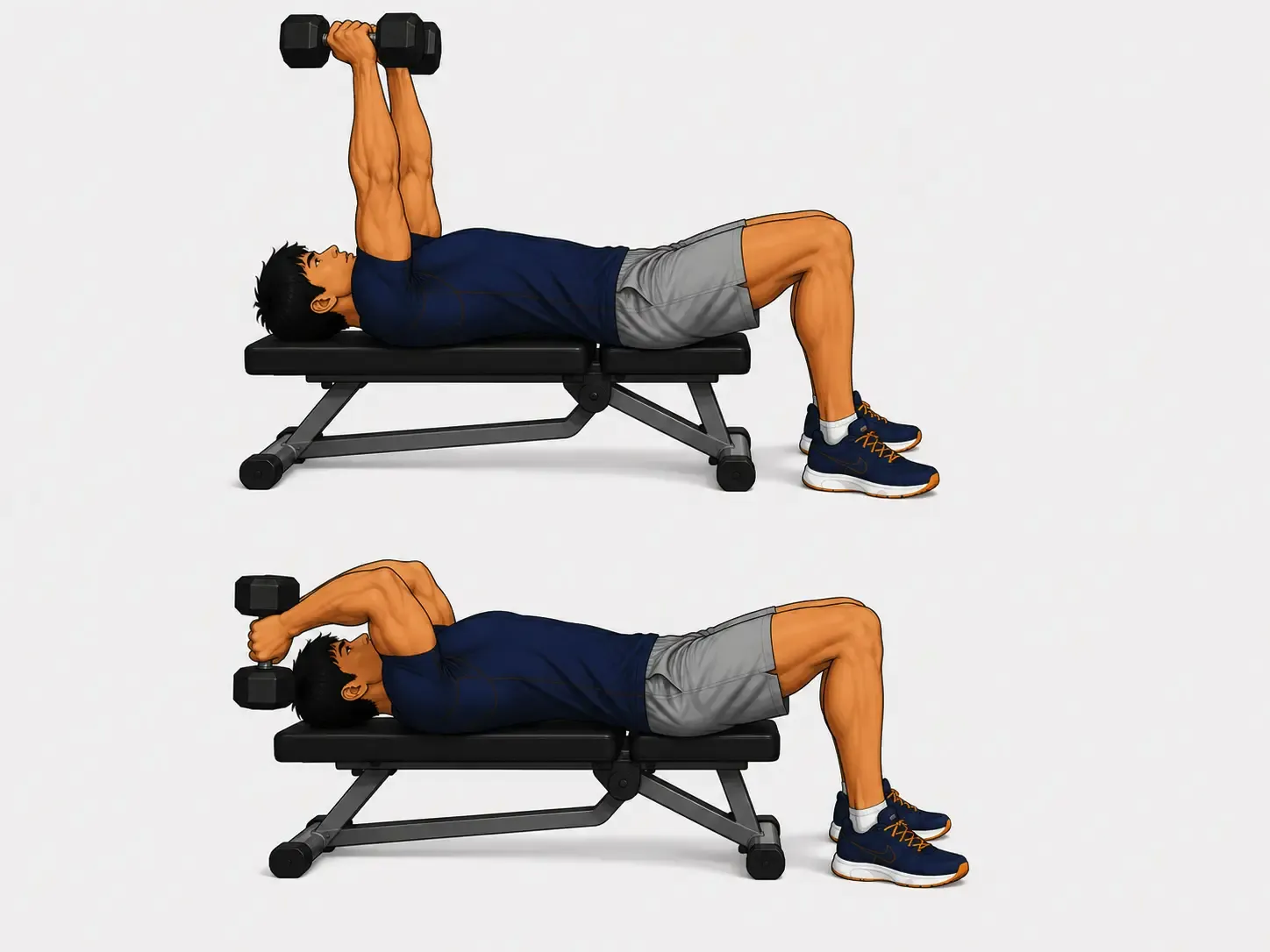 Dumbbell Skull Crushers